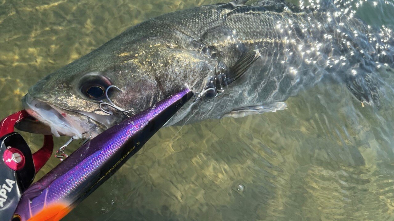 川島勉×亀山湖 ギル型ルアーを叩き込め！ :第1回（全4回） | Basser